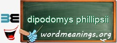 WordMeaning blackboard for dipodomys phillipsii